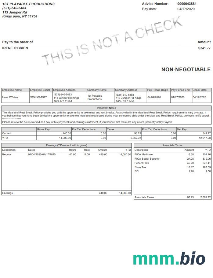 Grywalny szablon Paystub Productions w formatach Word i PDF
